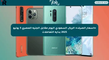 «أسعار الصرف» الريال السعودي اليوم مقابل الجنيه المصري 3 يونيو 2025 بداية التعاملات